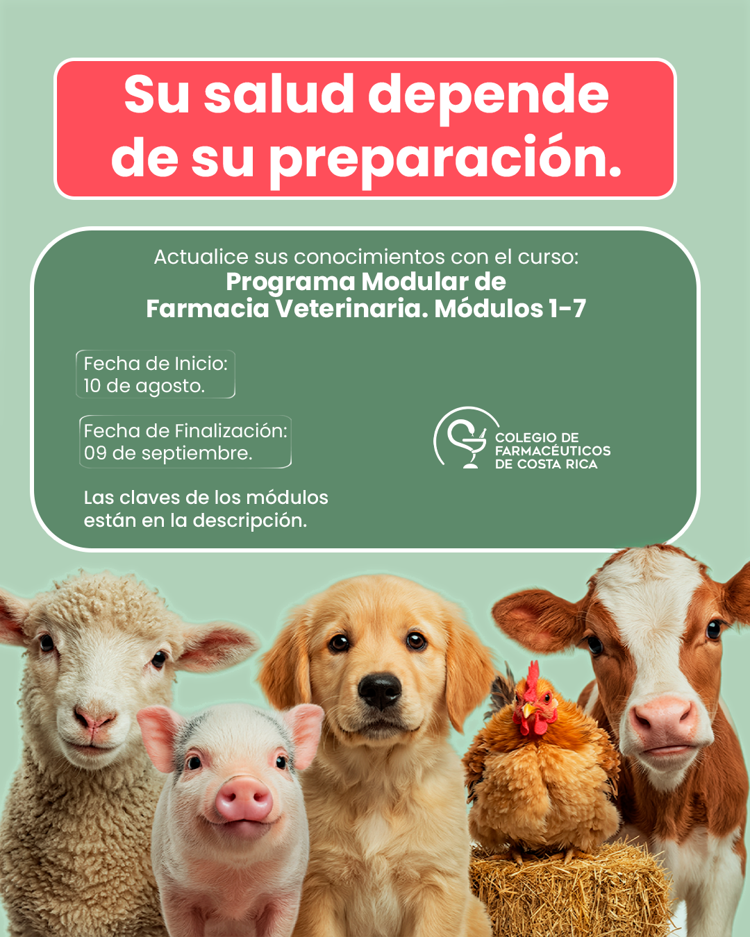 curso